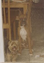 My boys!