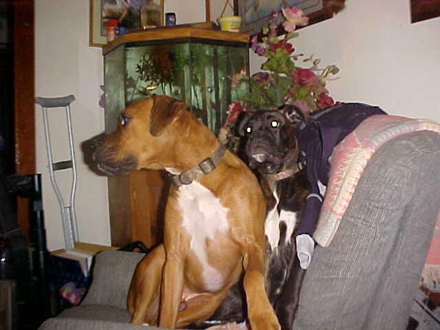 My Boys