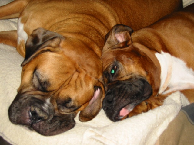 my boys