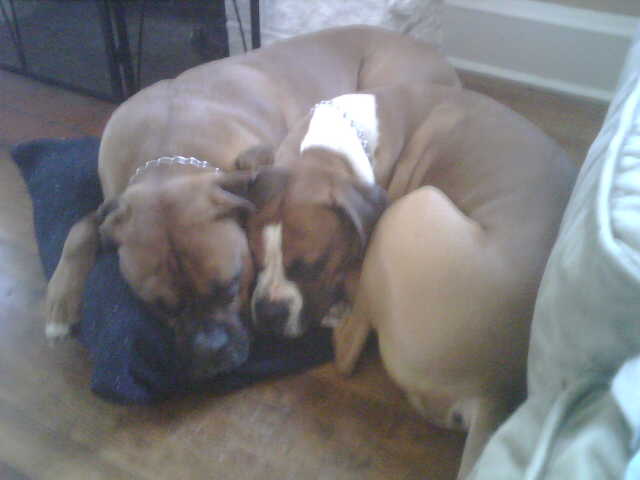 My boys