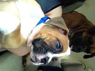My boys