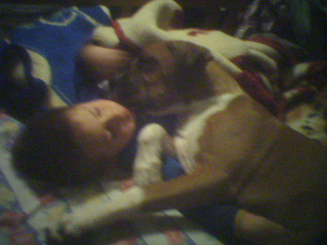 My brother is a good pillow