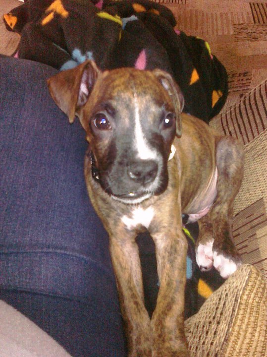 my bruno .
