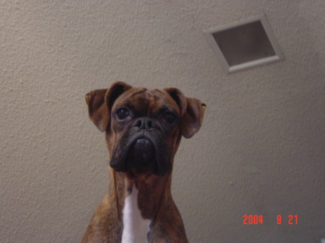 MY BUD !!