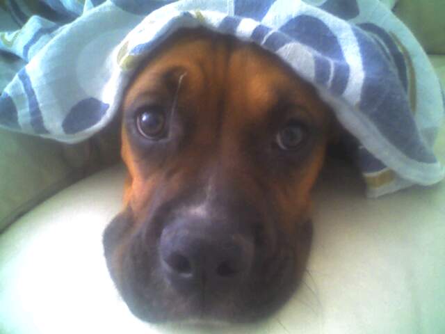 my butchy