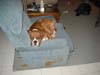 My Chair!!!