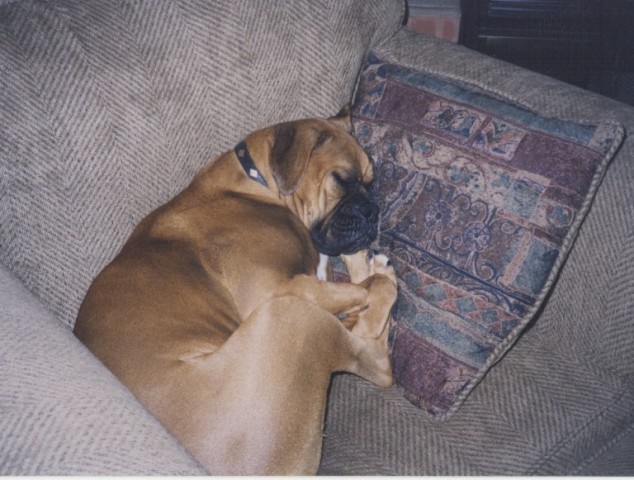 My Chair