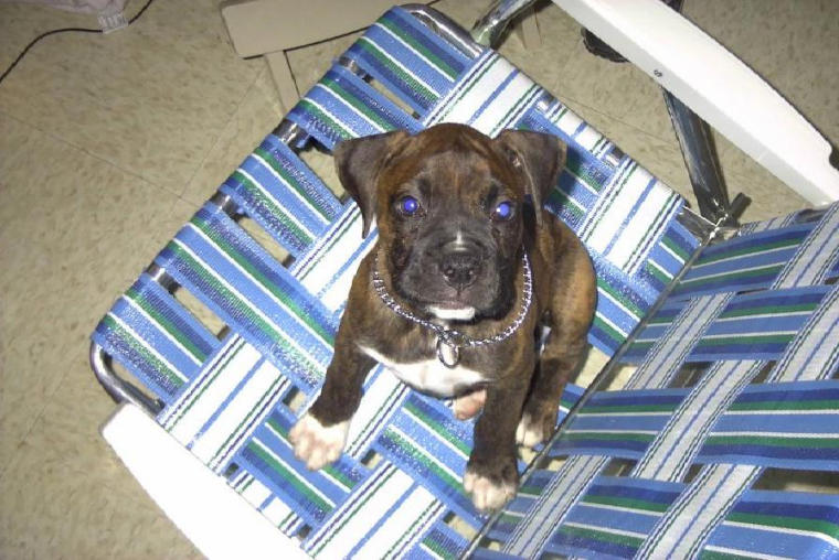 My Chair