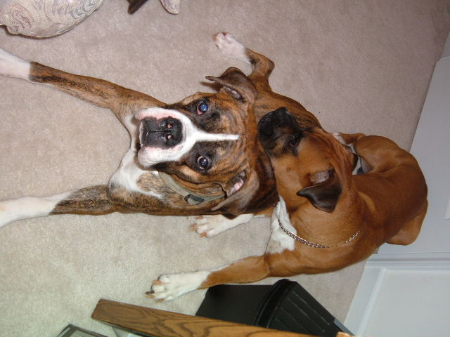 MY CHILDREN