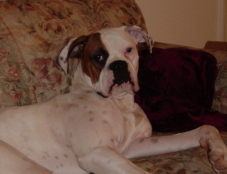 MY Couch!