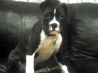 my couch!!!
