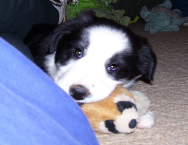 My Cowboy!