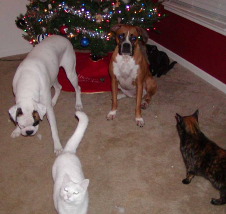 My crew