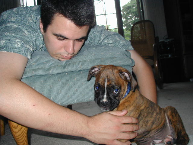 My Cute Boys