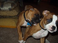 my cuz and my boxer