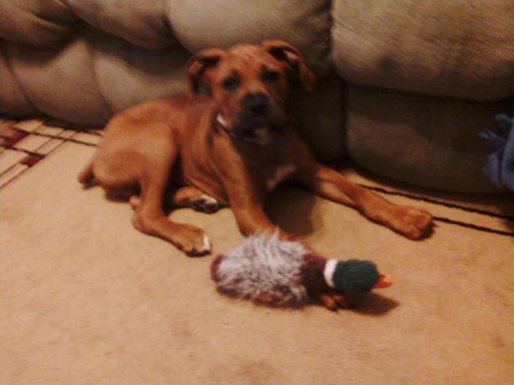 my ducky