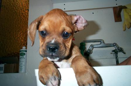 My ears are clean...see