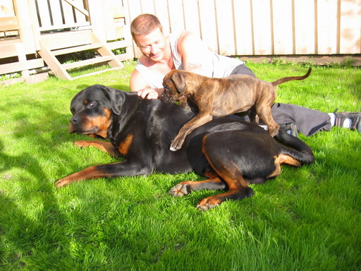 my family