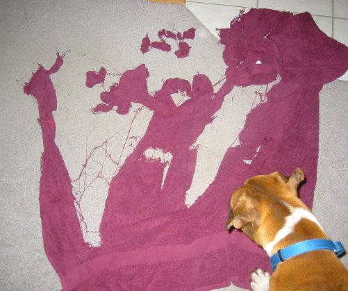 My favorite bath towel
