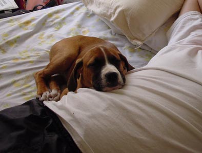 My favorite pillow