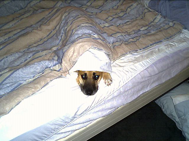 My favorite place is under the blanky