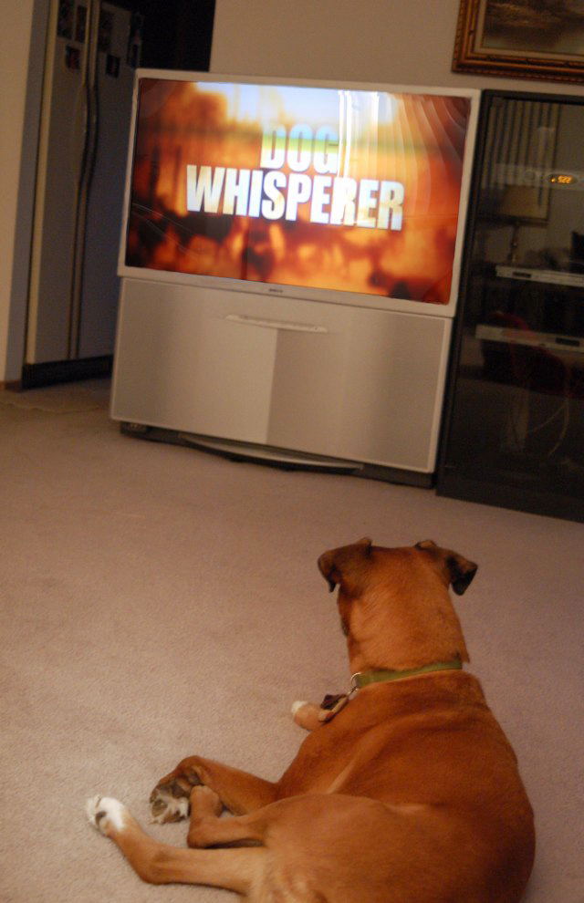 My Favorite Show!!