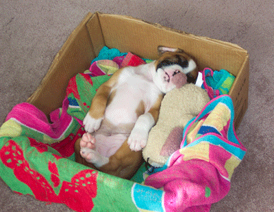 My favorite sleeping position