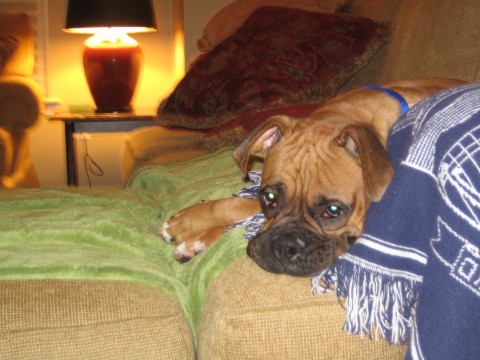 my favorite spot!