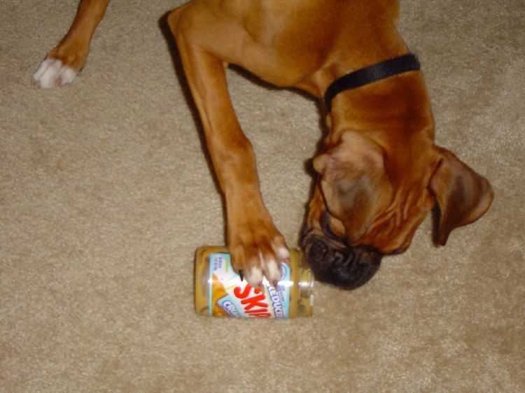 My favorite treat