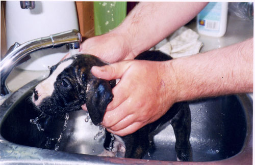 My first bath