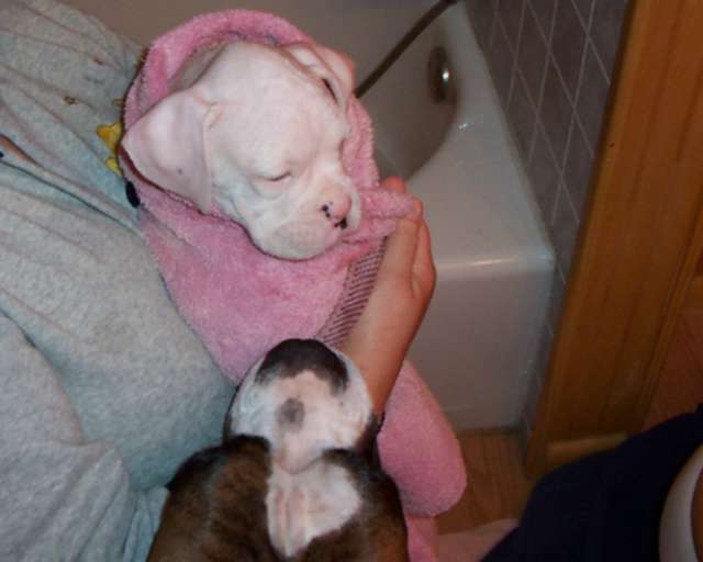 My first bath