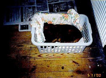 My first bed