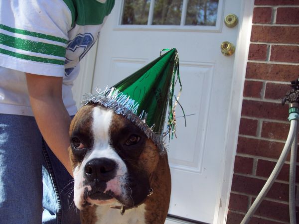 My first birthday