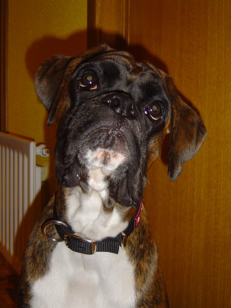 My first birthday