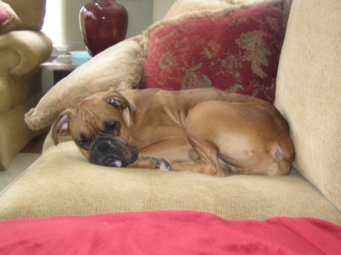 my first day home...I need to gain some weight!