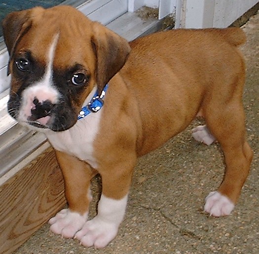 My first day home