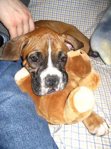 My first day home!