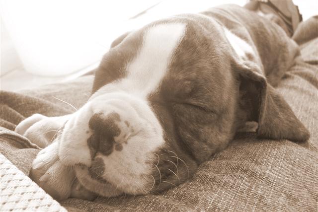 My first day home...