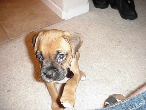 My first night with my new daddy!!!
