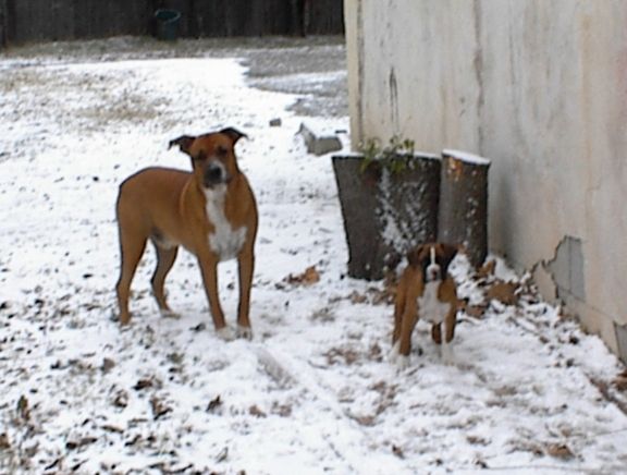 My first snow  I love playing in the snow