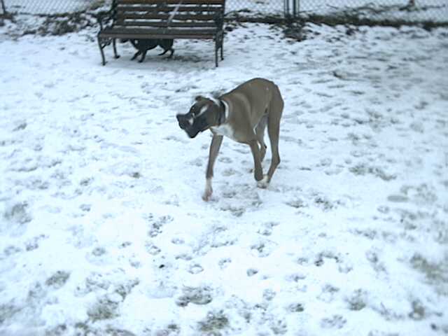 My first snow