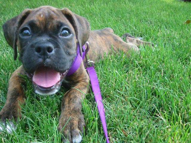 My-first-walk_