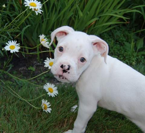 My flower girl