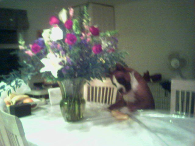 My flower!