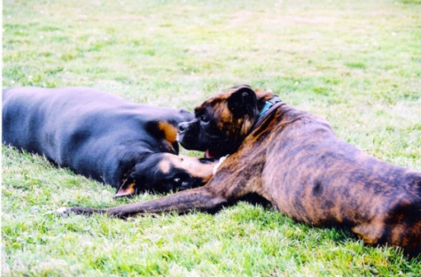 My Friend, Wyatt Really Does Love Me!