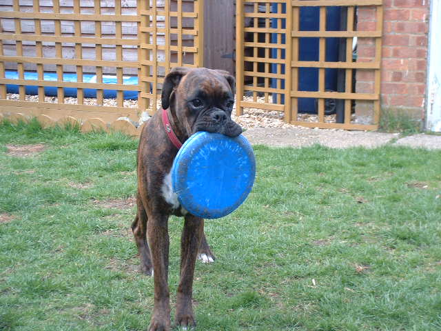 My Frisbee