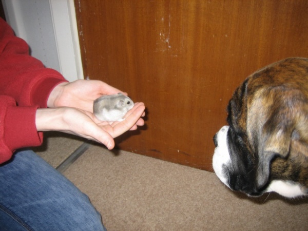 my furry cousin