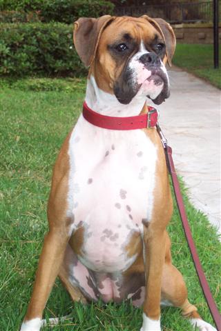 My Girl Samantha - 13 Month's Old