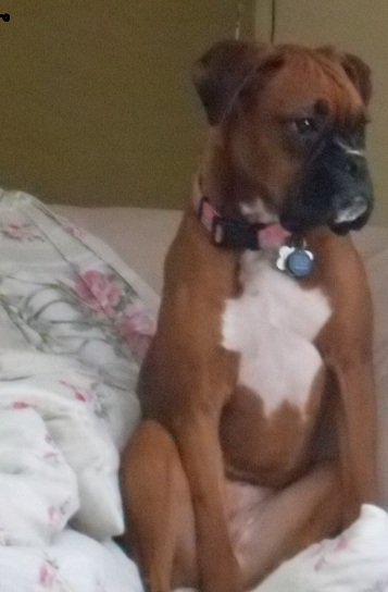 My Girl- Savannah
