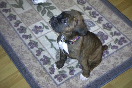 My girl